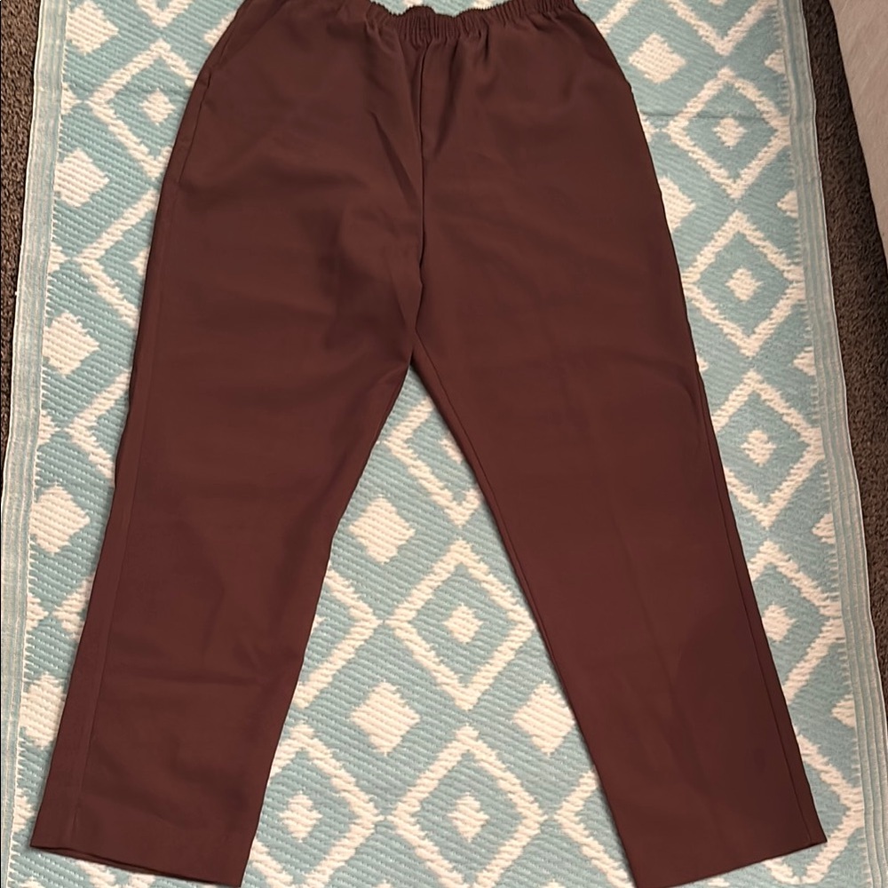 Blair Brown Trousers with Elastic Waistband and Relaxed Fit